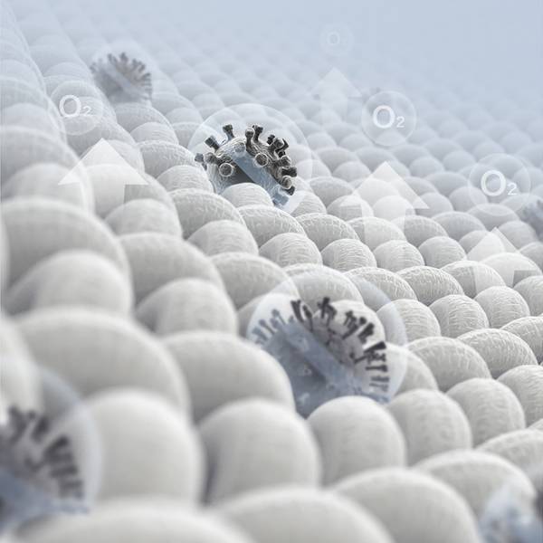 Bedding
