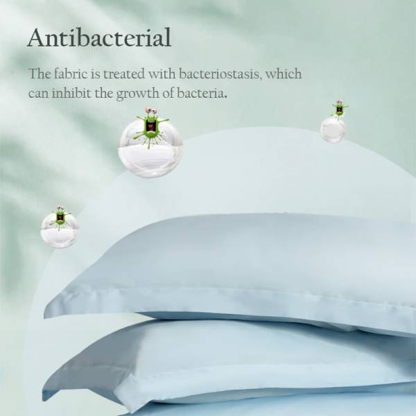 Bedding