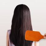 Brushes & Comb