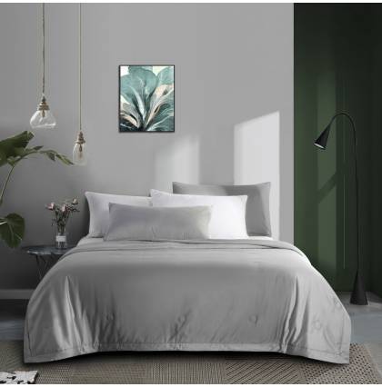 Antibacterial Summer Quilt Premium Plain Color Blanket Super Soft/ Machine Washable/Non-fading SS KS