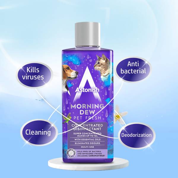 Disinfectant