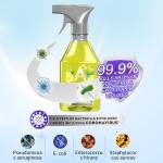 Disinfectant