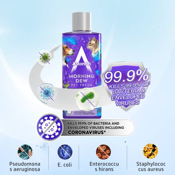Disinfectant