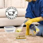 Multipurpose Cleaner