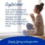 Multipurpose Cleaner