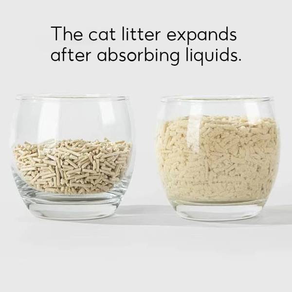 Pets