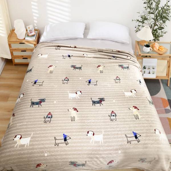 Blanket