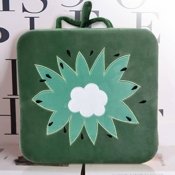Cushion & Covers