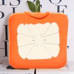 Cushion & Covers