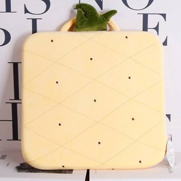 Cushion & Covers