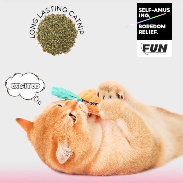 Pets