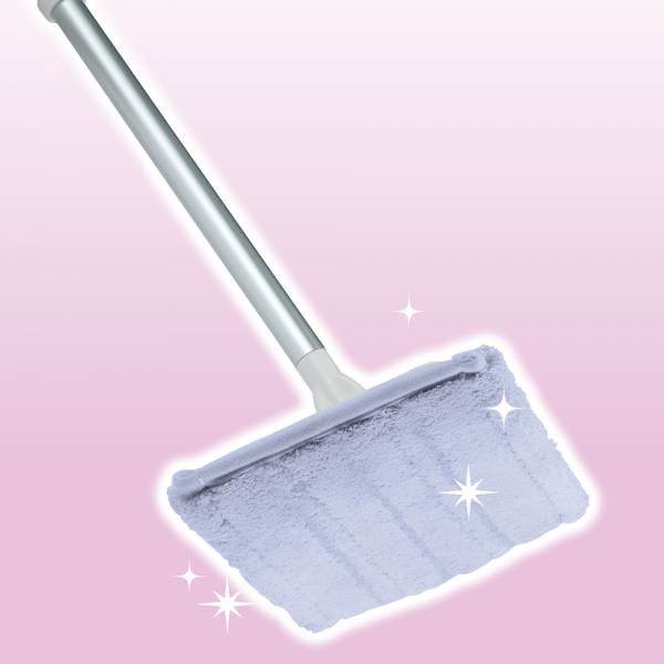 Mops