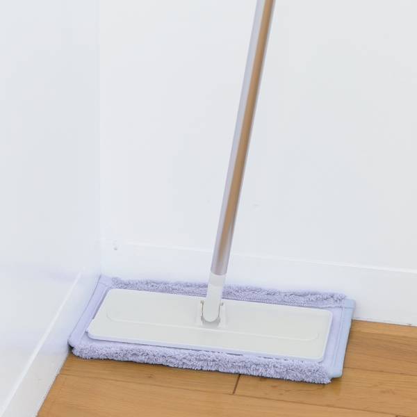 Mops