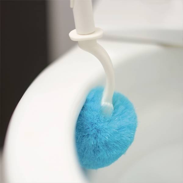 Cleaning Brushes
