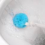 Cleaning Brushes
