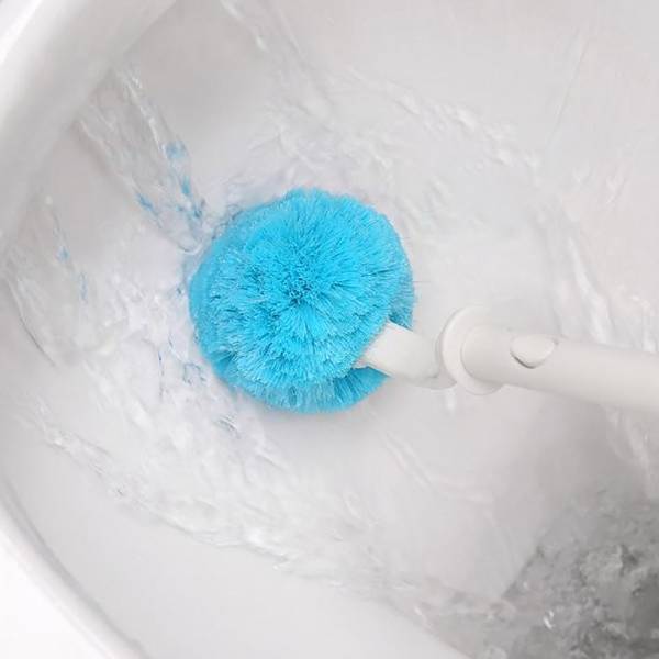 Cleaning Brushes
