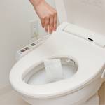 Household Wipes