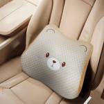 Cushion & Covers