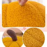 Cushion & Covers