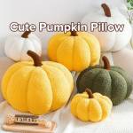 Cushion & Covers