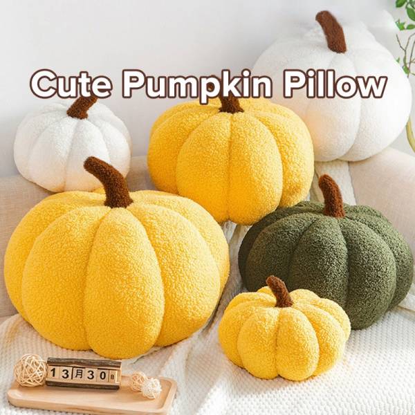 Cushion & Covers