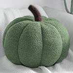 Cushion & Covers