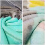 Blanket