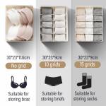 Storage Boxes
