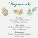 Hand Washes