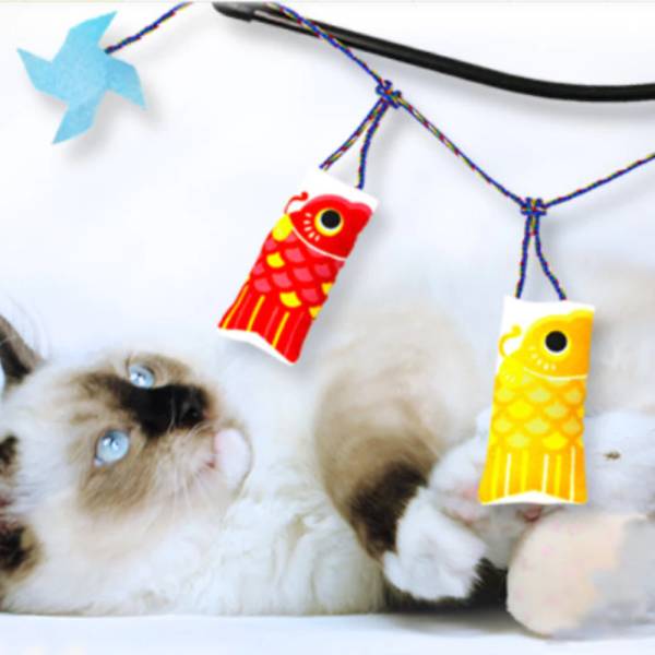 Pets