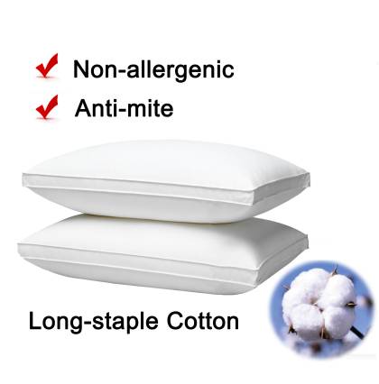 Premium Long-staple Cotton Pillow - 48*74 cm