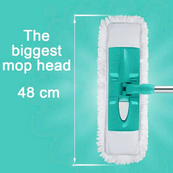 Mops
