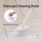 Cleaning Brushes
