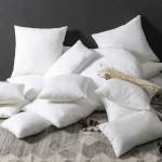 Cushion & Covers