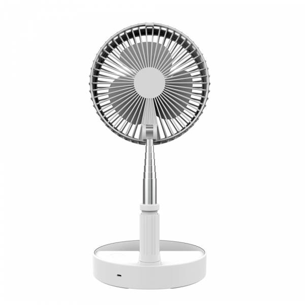 Fans
