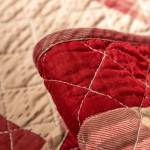 Cushion & Covers