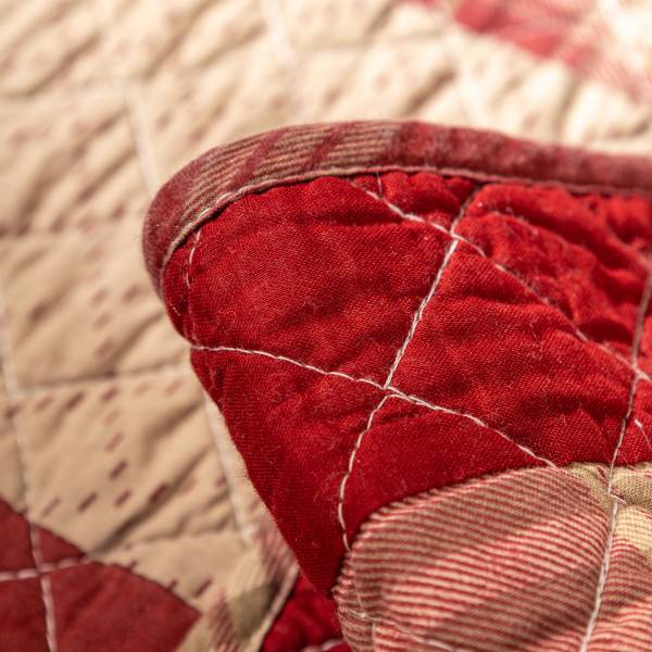 Cushion & Covers
