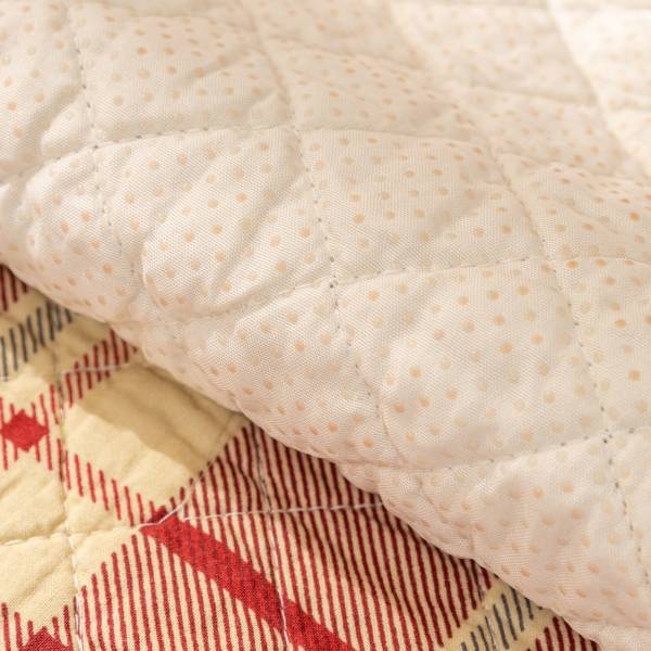 Cushion & Covers
