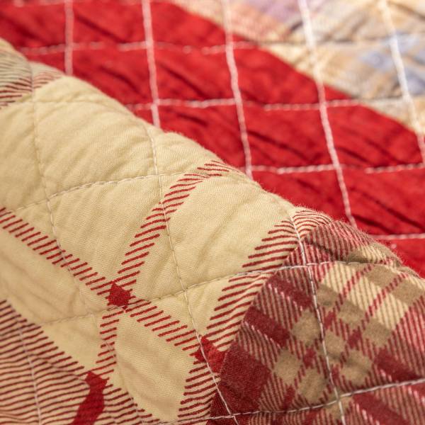 Cushion & Covers
